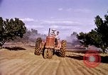 Standbild Ernte Hühner Früchte und vegatables United States USA, 1956, aus Sekunde 40 historischem Filmmaterial Videoclip 65675071652
