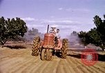Standbild Ernte Hühner Früchte und vegatables United States USA, 1956, aus Sekunde 41 historischem Filmmaterial Videoclip 65675071652