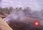 Standbild Ernte Hühner Früchte und vegatables United States USA, 1956, aus Sekunde 44 historischem Filmmaterial Videoclip 65675071652