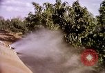 Standbild Ernte Hühner Früchte und vegatables United States USA, 1956, aus Sekunde 46 historischem Filmmaterial Videoclip 65675071652