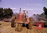 Standbild Ernte Hühner Früchte und vegatables United States USA, 1956, aus Sekunde 48 historischem Filmmaterial Videoclip 65675071652