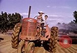 Standbild Ernte Hühner Früchte und vegatables United States USA, 1956, aus Sekunde 49 historischem Filmmaterial Videoclip 65675071652