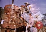 Standbild Ernte Hühner Früchte und vegatables United States USA, 1956, aus Sekunde 50 historischem Filmmaterial Videoclip 65675071652