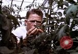 Standbild Ernte Hühner Früchte und vegatables United States USA, 1956, aus Sekunde 56 historischem Filmmaterial Videoclip 65675071652