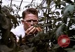 Standbild Ernte Hühner Früchte und vegatables United States USA, 1956, aus Sekunde 57 historischem Filmmaterial Videoclip 65675071652