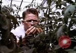 Standbild Ernte Hühner Früchte und vegatables United States USA, 1956, aus Sekunde 58 historischem Filmmaterial Videoclip 65675071652