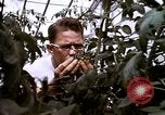 Standbild Ernte Hühner Früchte und vegatables United States USA, 1956, aus Sekunde 59 historischem Filmmaterial Videoclip 65675071652