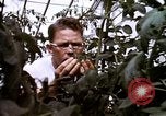 Standbild Ernte Hühner Früchte und vegatables United States USA, 1956, aus Sekunde 60 historischem Filmmaterial Videoclip 65675071652