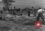 Image termine tombes Allemagne, 1945, de la seconde 7 séquences d'archives historiques vidéo 65675071657