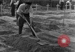 Image termine tombes Allemagne, 1945, de la seconde 15 séquences d'archives historiques vidéo 65675071657