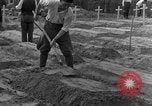 Image termine tombes Allemagne, 1945, de la seconde 18 séquences d'archives historiques vidéo 65675071657
