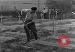 Image termine tombes Allemagne, 1945, de la seconde 29 séquences d'archives historiques vidéo 65675071657
