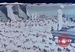 Image of Change of Command ceremony aboard battleship Pacific Theater, 1944, second 1 stock footage video 65675071668