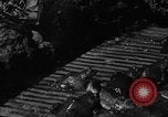 Image of pet frogs San Jose California USA, 1936, second 17 stock footage video 65675071673