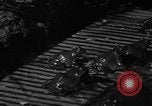 Image of pet frogs San Jose California USA, 1936, second 18 stock footage video 65675071673