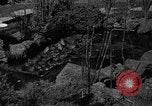Image of pet frogs San Jose California USA, 1936, second 19 stock footage video 65675071673