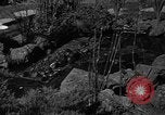 Image of pet frogs San Jose California USA, 1936, second 21 stock footage video 65675071673