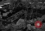 Image of pet frogs San Jose California USA, 1936, second 22 stock footage video 65675071673