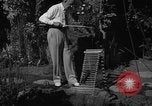 Image of pet frogs San Jose California USA, 1936, second 27 stock footage video 65675071673