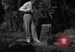 Image of pet frogs San Jose California USA, 1936, second 28 stock footage video 65675071673