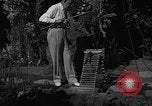 Image of pet frogs San Jose California USA, 1936, second 29 stock footage video 65675071673