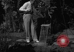 Image of pet frogs San Jose California USA, 1936, second 30 stock footage video 65675071673