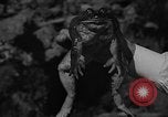 Image of pet frogs San Jose California USA, 1936, second 34 stock footage video 65675071673
