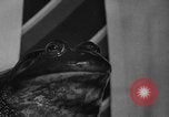 Image of pet frogs San Jose California USA, 1936, second 36 stock footage video 65675071673
