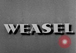 Image of weasel United States USA, 1943, second 27 stock footage video 65675071681