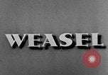 Image of weasel United States USA, 1943, second 28 stock footage video 65675071681