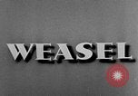 Image of weasel United States USA, 1943, second 29 stock footage video 65675071681