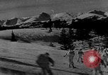 Image of weasel United States USA, 1943, second 35 stock footage video 65675071681