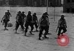 Image of weasel United States USA, 1943, second 37 stock footage video 65675071681