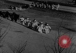 Image of weasel United States USA, 1943, second 39 stock footage video 65675071681