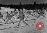 Image of weasel United States USA, 1943, second 40 stock footage video 65675071681