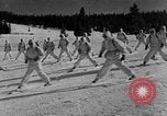 Image of weasel United States USA, 1943, second 41 stock footage video 65675071681