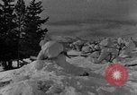 Image of weasel United States USA, 1943, second 43 stock footage video 65675071681
