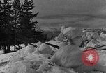 Image of weasel United States USA, 1943, second 44 stock footage video 65675071681