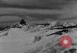 Image of weasel United States USA, 1943, second 45 stock footage video 65675071681