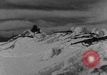 Image of weasel United States USA, 1943, second 46 stock footage video 65675071681