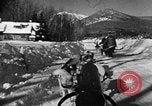 Image of weasel United States USA, 1943, second 47 stock footage video 65675071681
