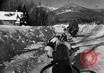 Image of weasel United States USA, 1943, second 48 stock footage video 65675071681