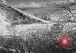 Image of weasel United States USA, 1943, second 1 stock footage video 65675071682