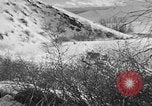 Image of weasel United States USA, 1943, second 3 stock footage video 65675071682