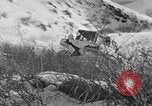 Image of weasel United States USA, 1943, second 5 stock footage video 65675071682