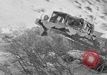 Image of weasel United States USA, 1943, second 6 stock footage video 65675071682