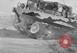 Image of weasel United States USA, 1943, second 7 stock footage video 65675071682
