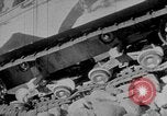 Image of weasel United States USA, 1943, second 14 stock footage video 65675071682
