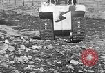 Image of weasel United States USA, 1943, second 15 stock footage video 65675071682
