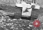 Image of weasel United States USA, 1943, second 16 stock footage video 65675071682